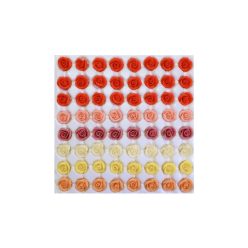 Mini Rose (64  pcs × approx. - 6 g)