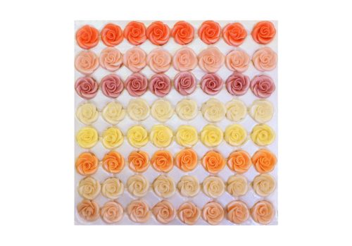 Small Pale Mixed Tea Rose (64  pcs × approx. - 7 g)