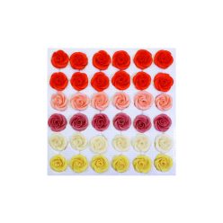 Large Mixed Tea Rose (36  pcs × approx. - 13 g)