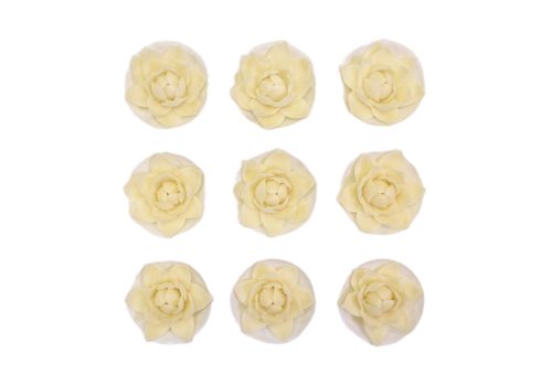 Water Lily (9  pcs × approx. - 38 g)