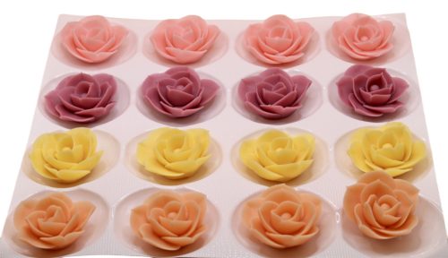 Large Dahlia (16  pcs × approx. - 20 g)