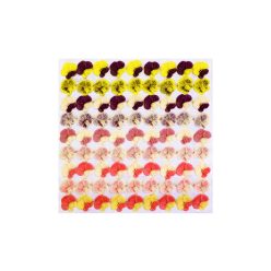 Pansy (81  pcs × approx. - 3 g)