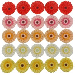 Gerbera (25  pcs × approx. - 15 g)