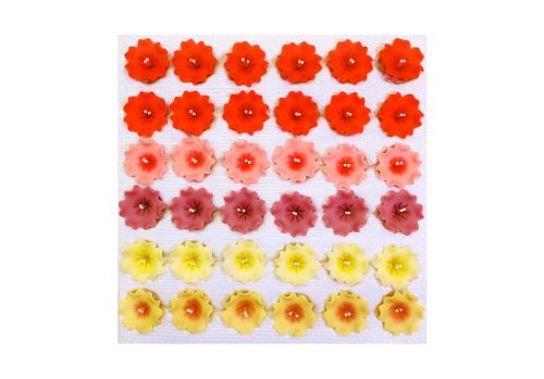 Large Trumpet Flower (36  pcs × approx. - 9 g)