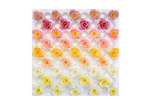 Freesia (41  pcs × approx. - 9 g)