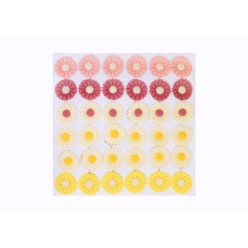 Daisy (36  pcs × approx. - 6 g)