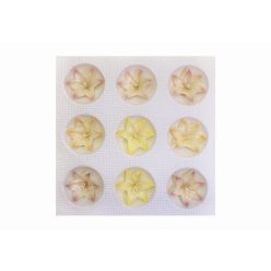 Large Airbrushed Mixed Lily (9  pcs × approx. - 18 g)