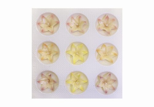 Large Airbrushed Mixed Lily (9  pcs × approx. - 18 g)