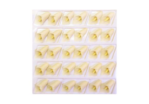 Large Calla (30  pcs × approx. - 13 g)