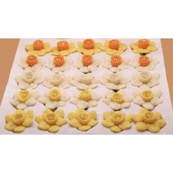 Mixed Daffodil (25  pcs × approx. - 15 g)