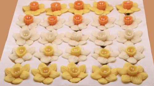 Mixed Daffodil (25  pcs × approx. - 15 g)