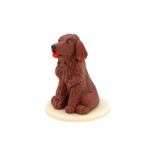 Irish Setter 55 g