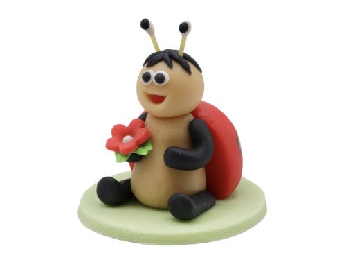 Ladybug 35 g