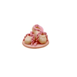 Pink Ballet Shoe 25 g