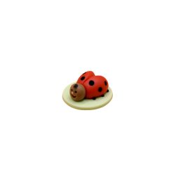 Ladybug 25 g