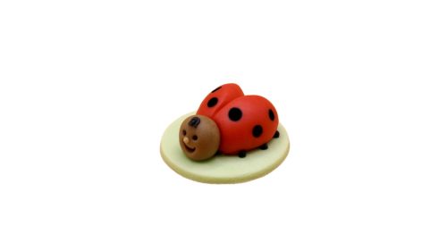 Ladybug 25 g