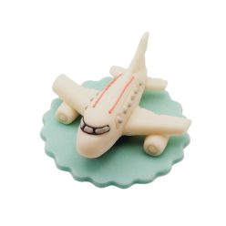 Passenger Plane 100 g